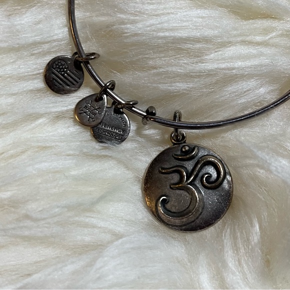 Alex and Ani 🕉️ Om Charm Bracelet - Picture 3 of 6